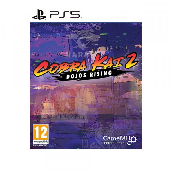 PS5 Cobra Kai 2: Dojos Rising (  ) 