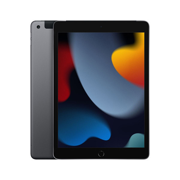 APPLE 10.2-inch iPad 9 Cellular 256GB - Space Grey  mk4e3hc/a