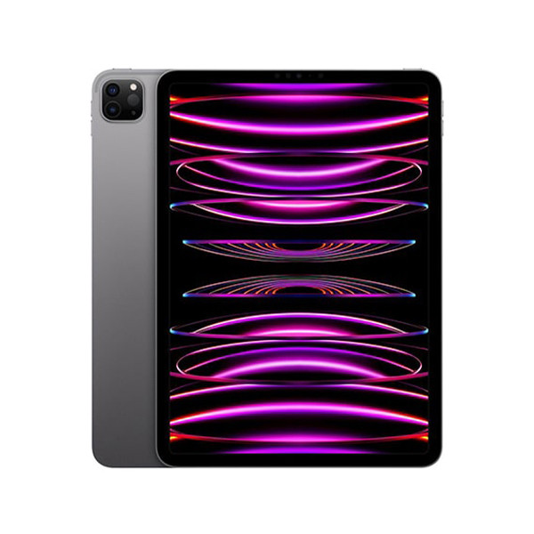 APPLE 11-inch iPad Pro Wi-Fi 512GB - Space Grey mnxh3hc/a