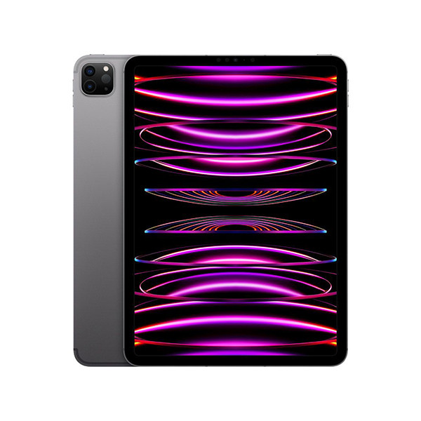 APPLE 12.9-inch iPad Pro (6th) Wi_Fi 1TB - Space Grey mnxw3hc/a