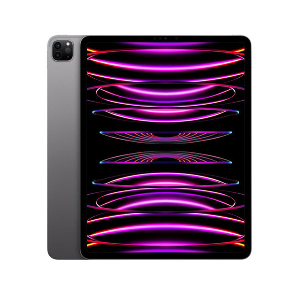APPLE 12.9-inch iPad Pro (6th) Wi_Fi 256GB - Space Grey mnxr3hc/a