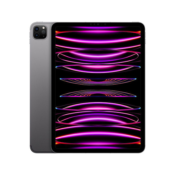 APPLE 11'' iPad Pro Cellular 256GB Space Grey mnye3hc/a